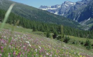 Hotel Sud Ovest - Sestriere - 8