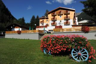 Hotel Alpino Wellness & Spa - Peio Fonti - 3