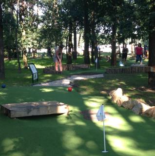 Harba Lorifa - Valkenswaard - 2