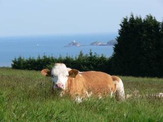 Clyne Farm Centre - The Mumbles - 4