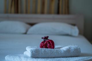 Sea View Suite Methana - Methana - 6