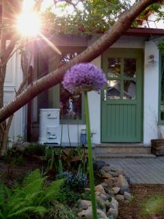 Feine Laube - Berlin - 8