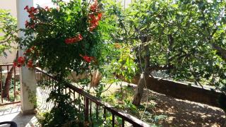 Apartmani Ivanka - 1