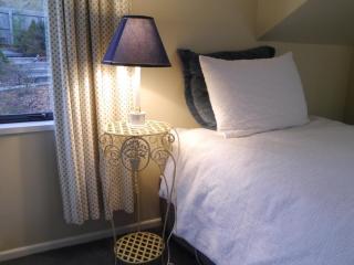 Tempest on Wanaka - 8