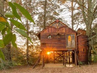 Sycamore Avenue Treehouses & Cottages Accommodation - Windy - 5
