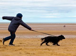 Deepdale Camping & Rooms - Burnham Deepdale - 1