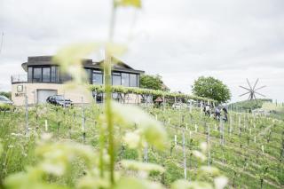 Weinhotel Maitz Wolfgang - Ratsch an der Weinstraße - 8