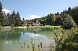 Ferienanlage Forellenhof - Ledenitzen - 9