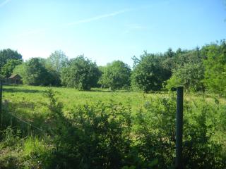 Verreveld - Londerzeel - 1