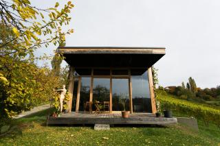 Weingarthaus - Gamlitz - 2