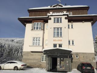 Apartman Bellevue - Špindlerův Mlýn - 8