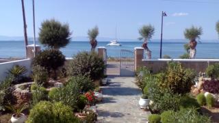 Studios Antoniou - Skala - 5