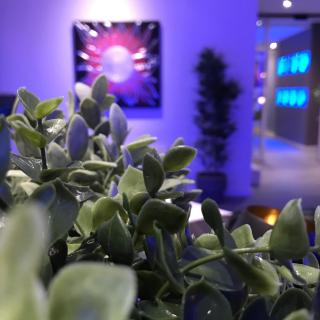 NovaHotel - Reggio nell'Emilia - 9