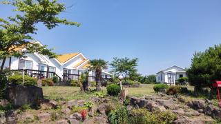 Arting Pension - Seogwipo - 6