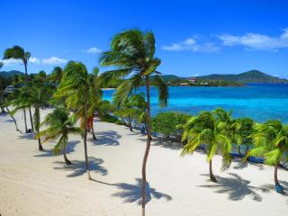 Luxury Beachfront Duplex Villa on Sapphire Beach V - St Thomas - 6