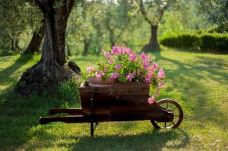 Podere Sant'Antonio - 2