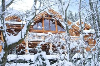 Chalet Caprea - Bad Kleinkirchheim - 3