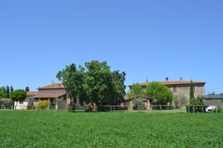 Cortona Holiday Home - Cortona - 0