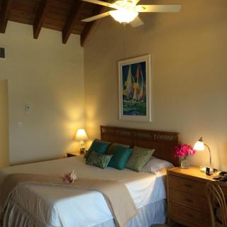 Luxury Beachfront Duplex Villa on Sapphire Beach V - St Thomas - 7