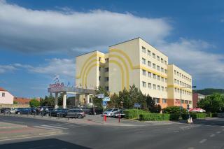 Hotel Grand Litava Beroun - Beroun - 0