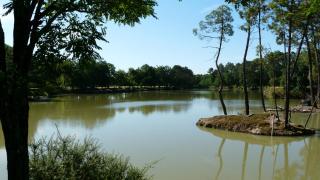 Gite de Monsalut - Cestas - 6