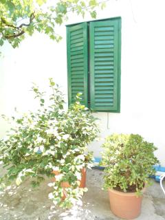 Family house Bacalja - Preko - 3