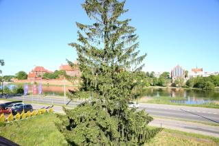 Gościniec w Malborku - Malbork - 6