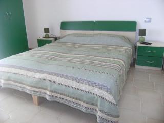 Magi - Begonia - Ponza - 2