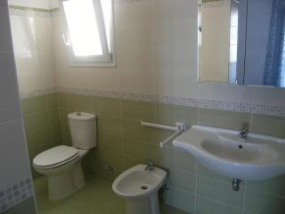 Magi - Begonia - Ponza - 3