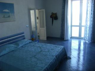 Magi - Begonia - Ponza - 7