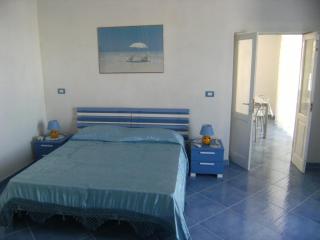Magi - Begonia - Ponza - 8