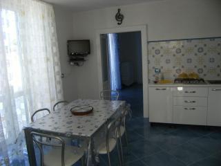 Magi - Begonia - Ponza - 5