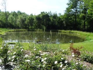 Chalets du pontot - Le Fay - 1