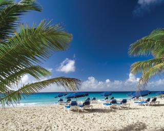 Divi Southwinds Beach Resort - Christ Church - 6