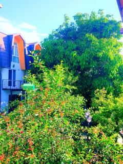 Guest House Albatros - Cholpon-Ata - 1
