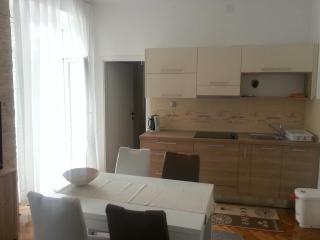 apartment Sandra 2+2 *** - Crikvenica - 1