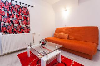 Apartments Milena Zlatibor - Dvorište & Parking - 5