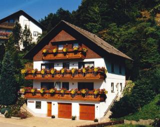 Haus Margot Armbruster - Bad Rippoldsau-Schapbach - 0