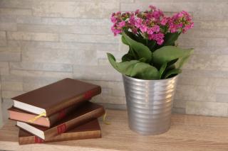 Aurelia Rooms - Verona - 4