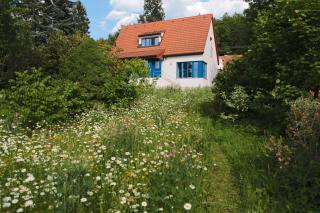Rekreační vilka Zlenice - Zlenice - 9