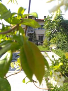 B&B Casa Lulù - Brembate - 5