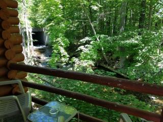 Seven Dwarfs Cabin - On The Brook Cabins - Lake George - 9