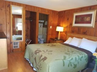 Seven Dwarfs Cabins - White Cabin - Lake George - 4