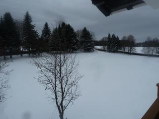 Appartement-Oberwiesenhof - 1