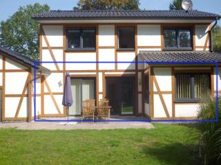 Wohnung-1 - Mardorf - 9