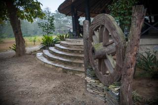 Siddhartha Wildlife Retreat - Meghauli - 9