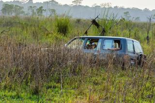 Siddhartha Wildlife Retreat - 2