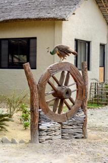 Siddhartha Wildlife Retreat - 3