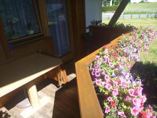 Haus Bellis - Neustift im Stubaital - 9