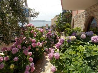 Hotel Piccolino - Saranda - 8